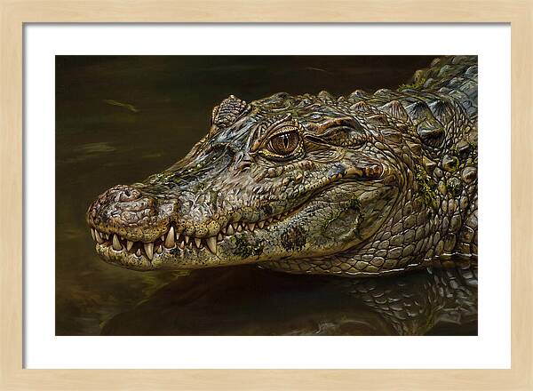 Caiman Realism Portrait