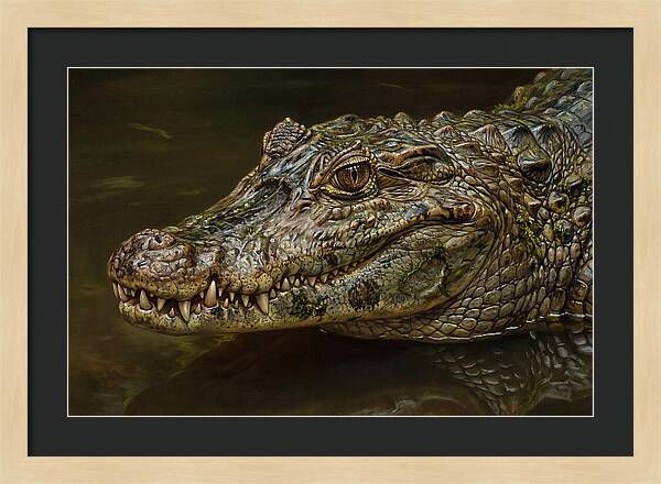 Caiman Realism Portrait
