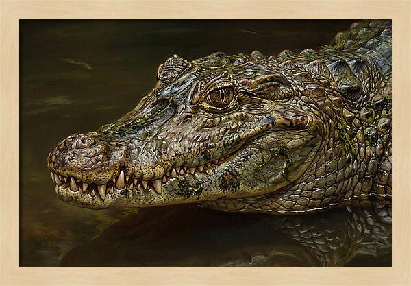 Caiman Realism Portrait