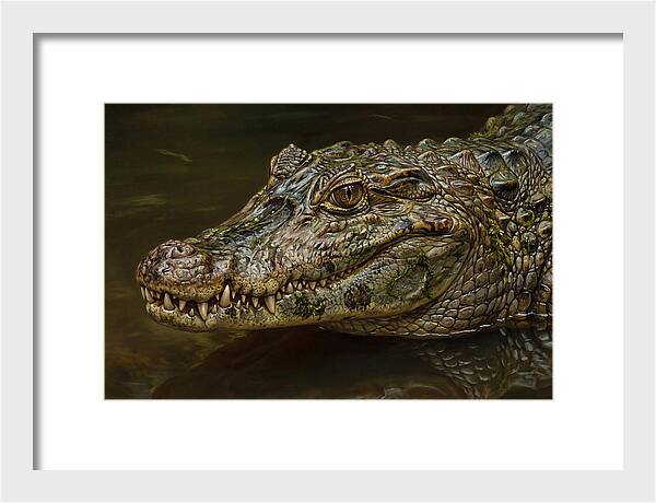 Caiman Realism Portrait