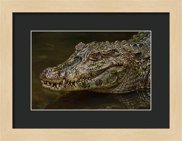 Caiman Realism Portrait