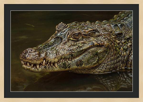 Caiman Realism Portrait