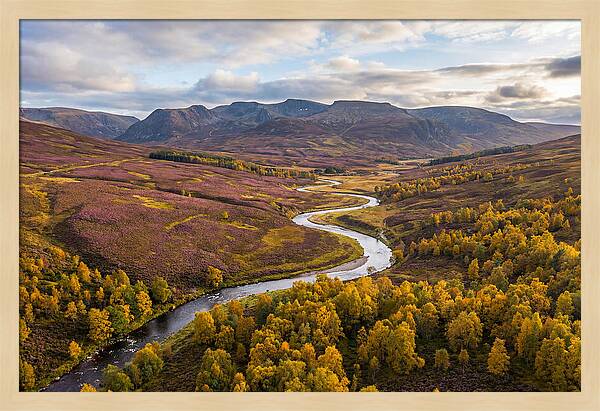 Cairngorms National Park In Autumn