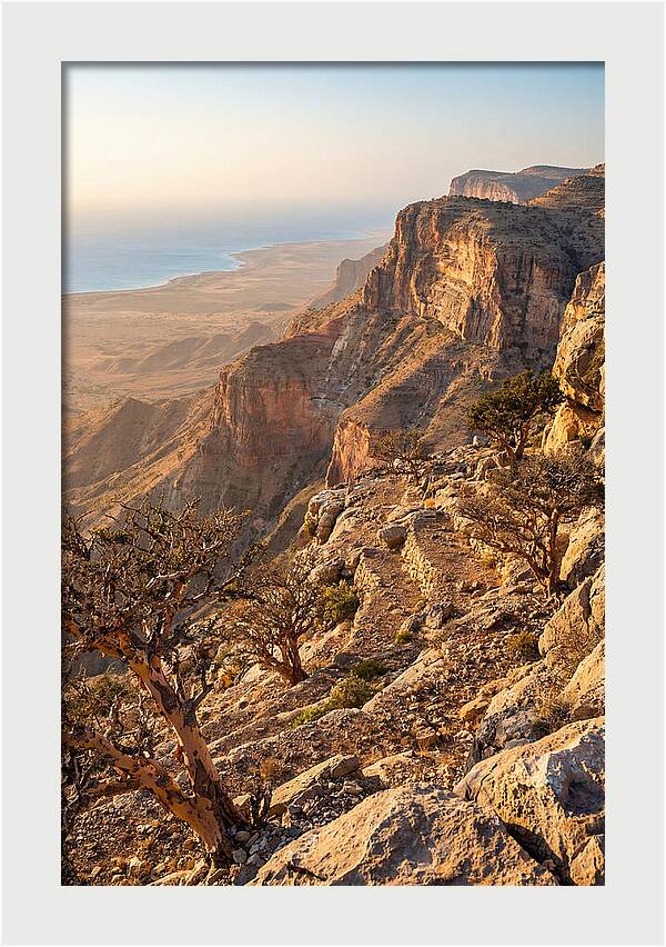 Cal Madow Mountain Range At Golden Hour