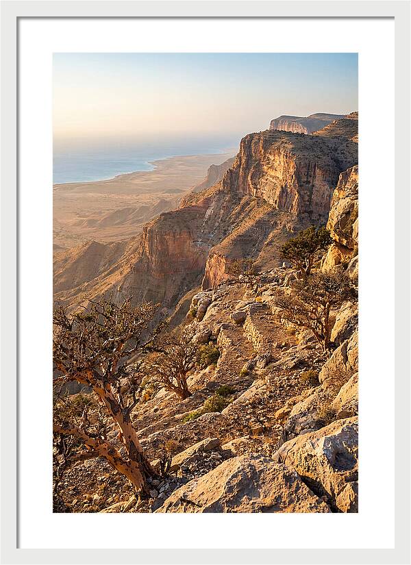 Cal Madow Mountain Range At Golden Hour