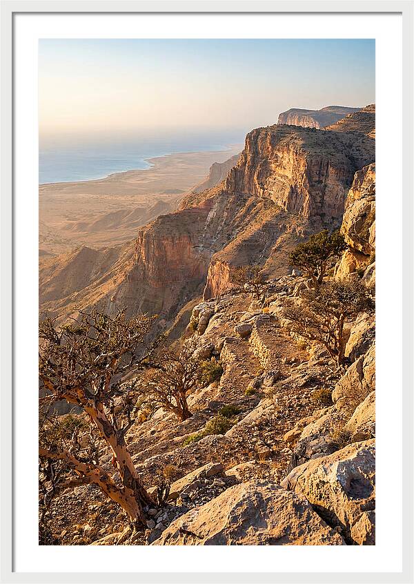 Cal Madow Mountain Range At Golden Hour