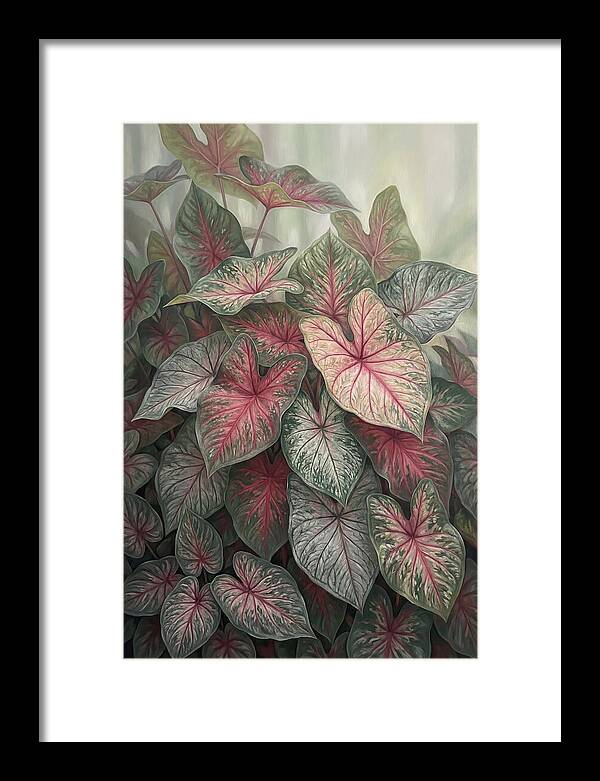Caladium Foliage In Bloom