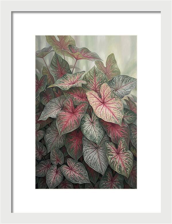 Caladium Foliage In Bloom