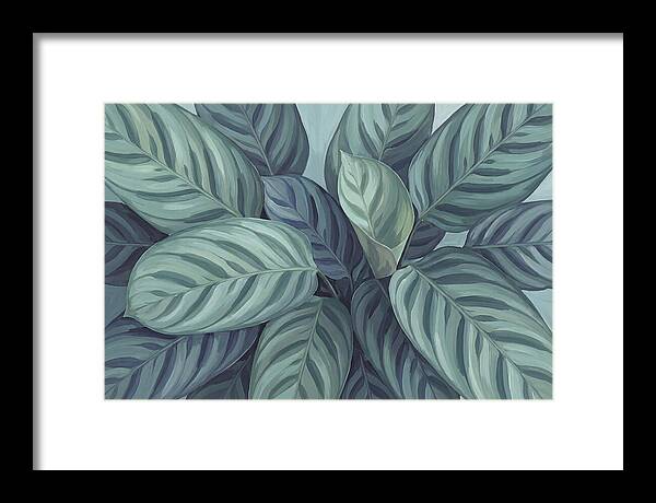 Calathea Leaves In Harmony
