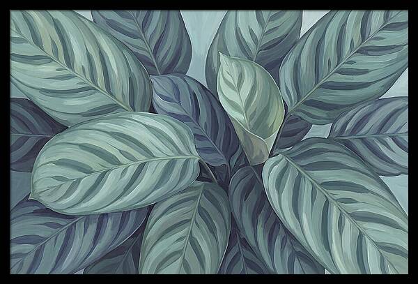 Calathea Leaves In Harmony