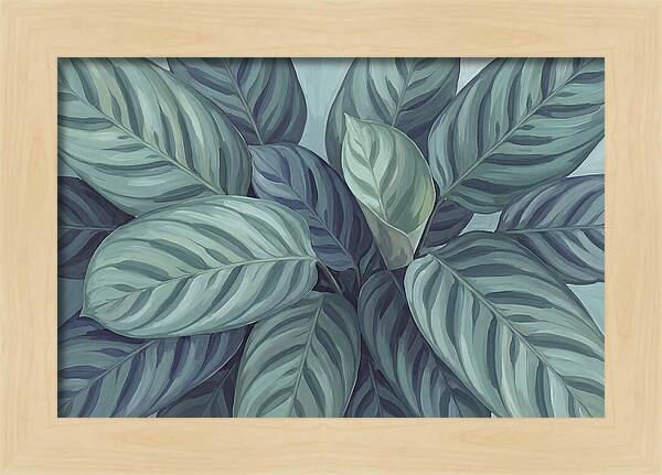 Calathea Leaves In Harmony