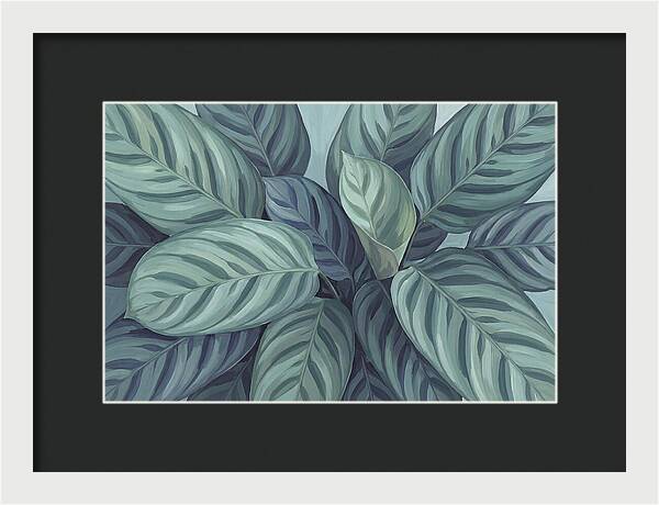 Calathea Leaves In Harmony