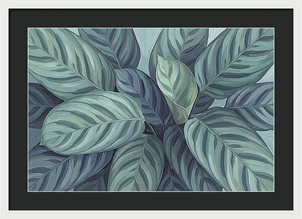 Calathea Leaves In Harmony