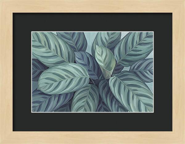 Calathea Leaves In Harmony