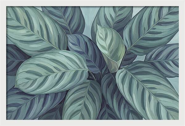Calathea Leaves In Harmony