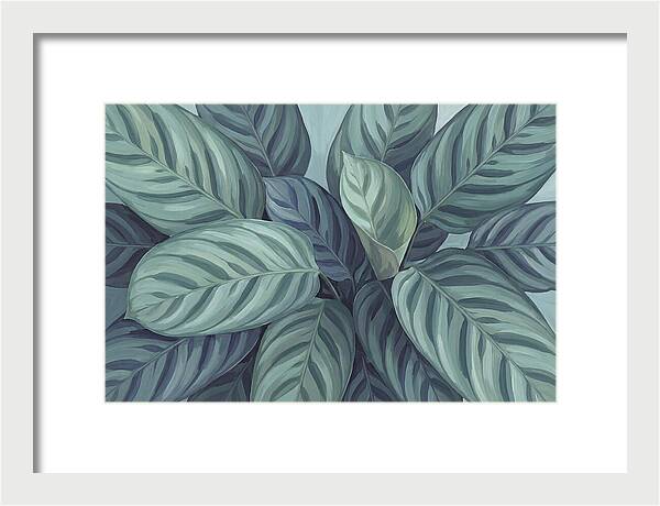 Calathea Leaves In Harmony