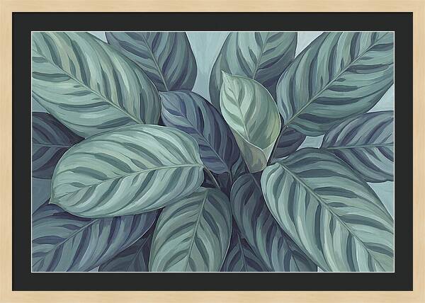 Calathea Leaves In Harmony
