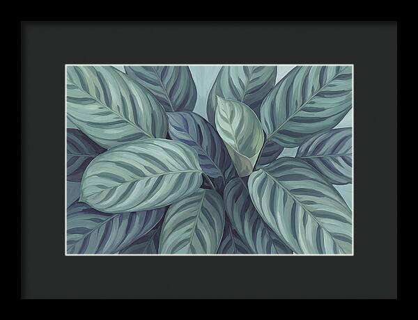 Calathea Leaves In Harmony