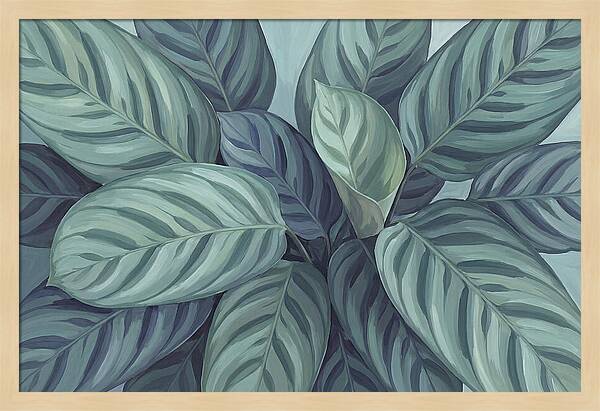 Calathea Leaves In Harmony