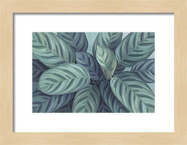 Calathea Leaves In Harmony