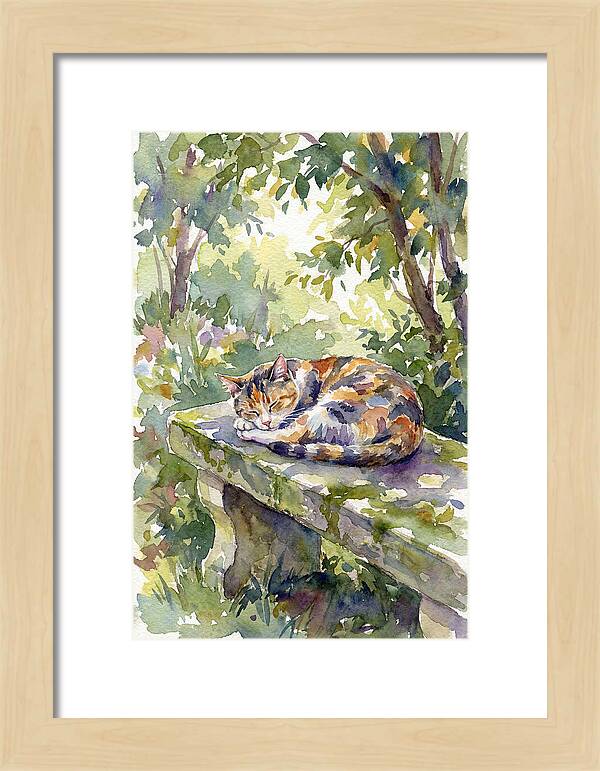Calico Cat In Tranquil Garden