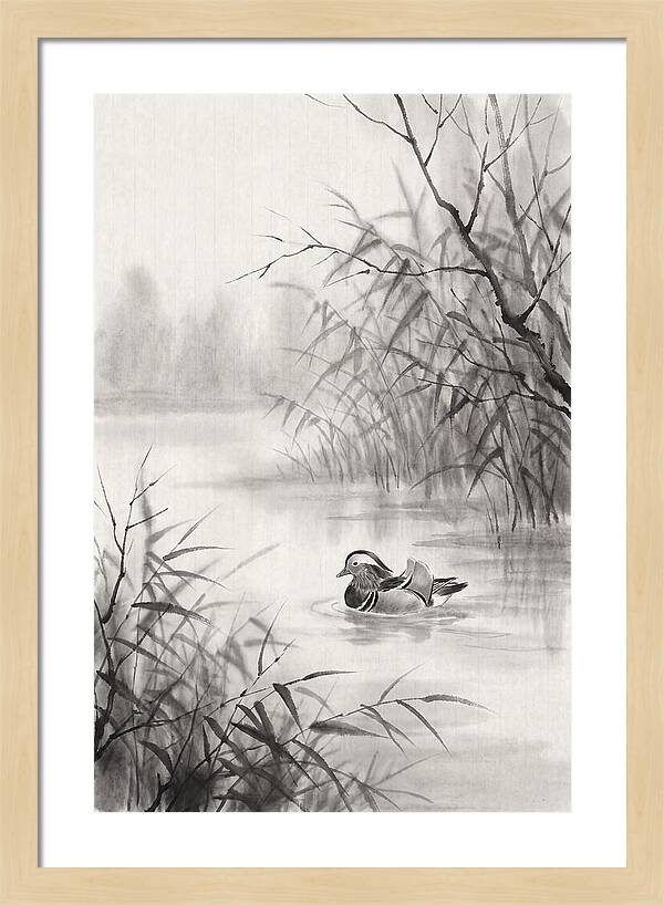 Calm Autumn Pond Serenity