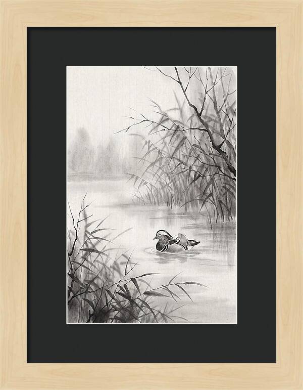 Calm Autumn Pond Serenity