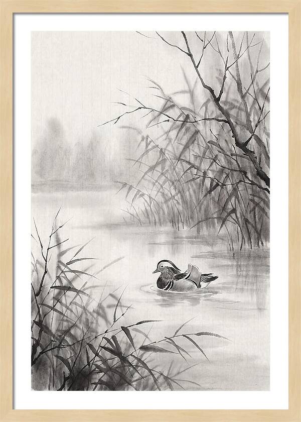 Calm Autumn Pond Serenity
