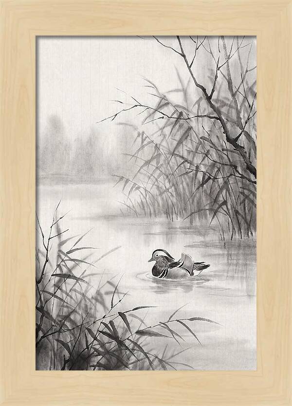 Calm Autumn Pond Serenity