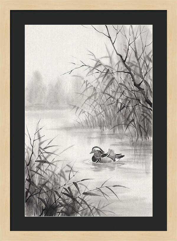Calm Autumn Pond Serenity