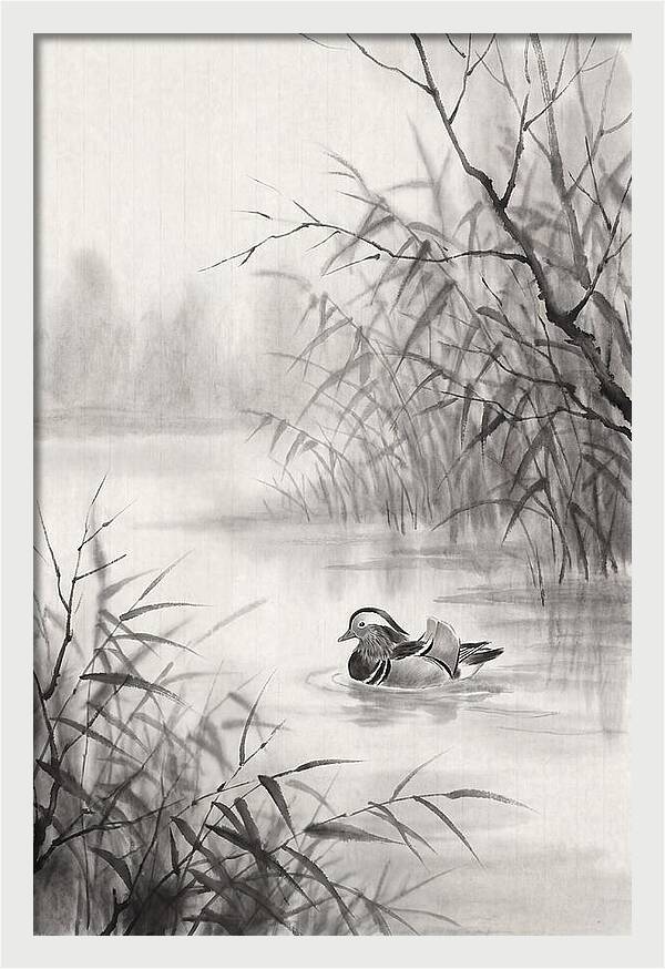 Calm Autumn Pond Serenity