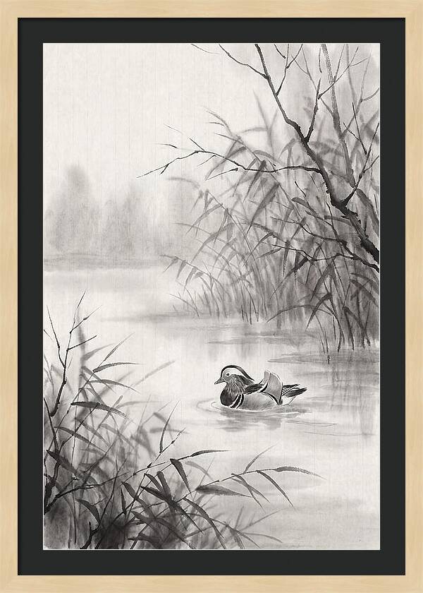 Calm Autumn Pond Serenity