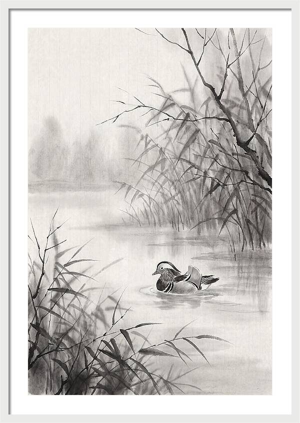 Calm Autumn Pond Serenity