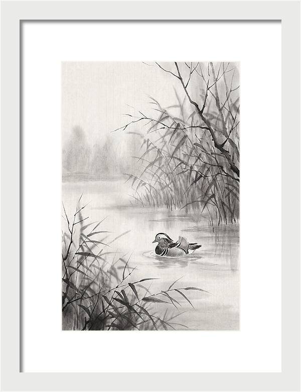 Calm Autumn Pond Serenity