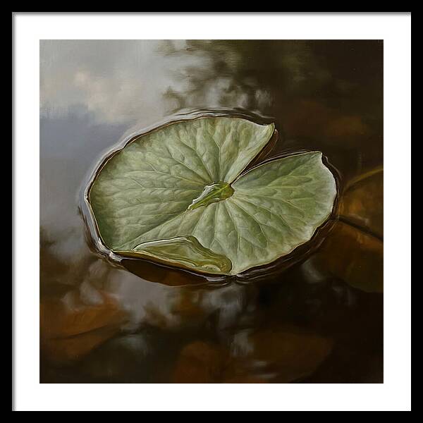 Calm Reflections On Water