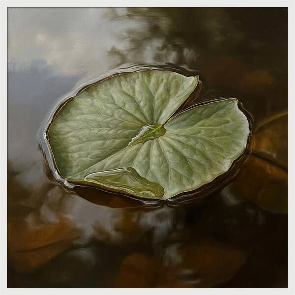 Calm Reflections On Water