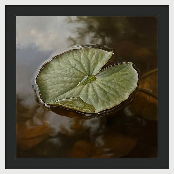 Calm Reflections On Water
