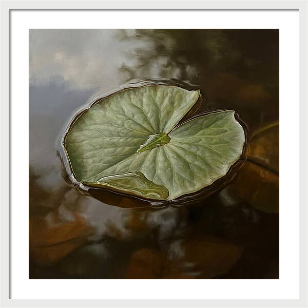 Calm Reflections On Water