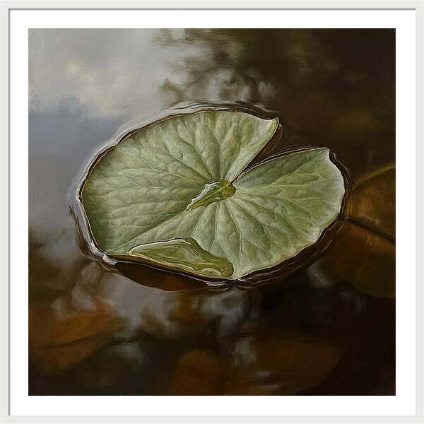 Calm Reflections On Water