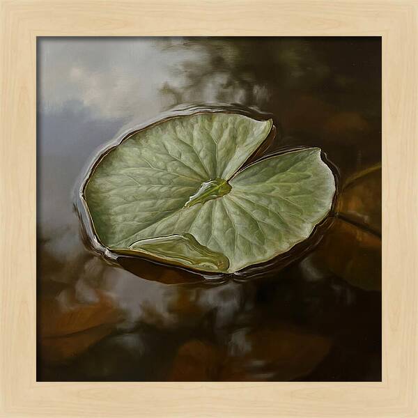 Calm Reflections On Water
