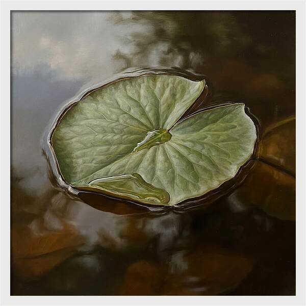 Calm Reflections On Water
