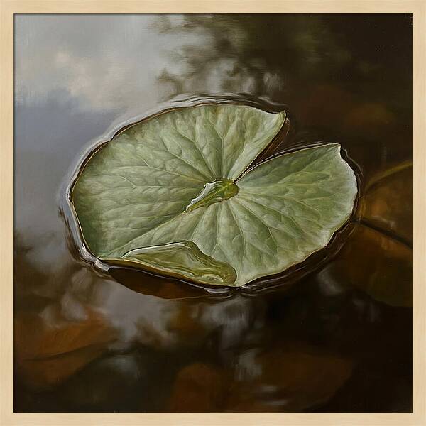 Calm Reflections On Water