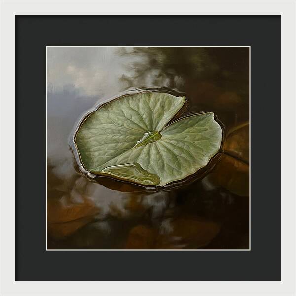 Calm Reflections On Water