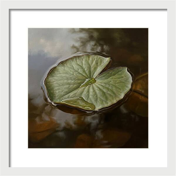 Calm Reflections On Water