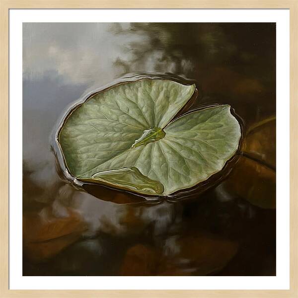 Calm Reflections On Water