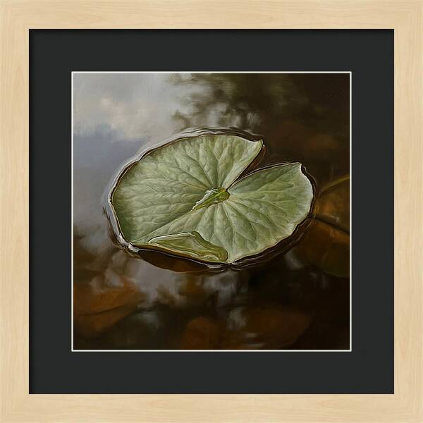 Calm Reflections On Water