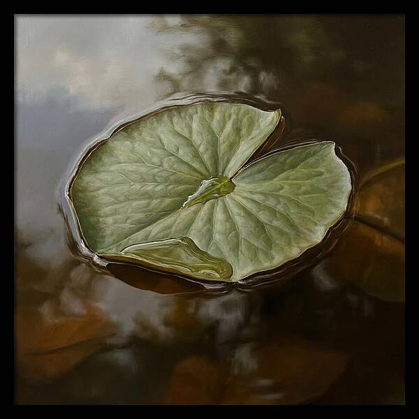 Calm Reflections On Water