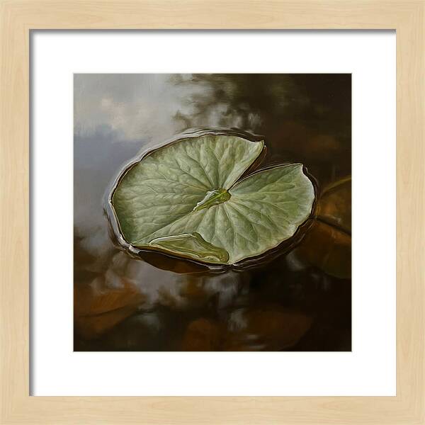 Calm Reflections On Water