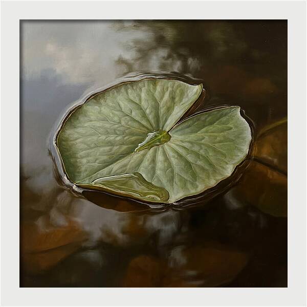 Calm Reflections On Water