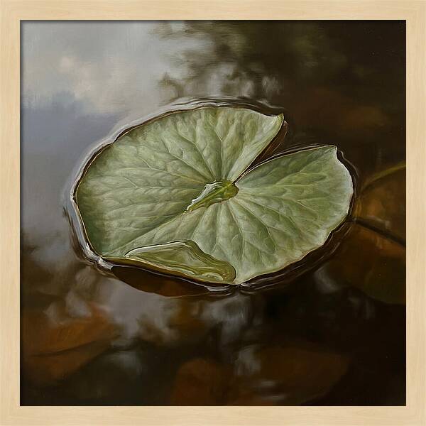 Calm Reflections On Water